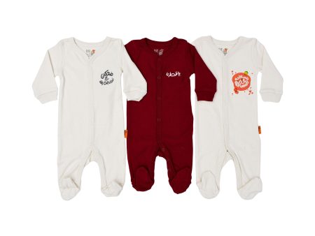 Baby Elephant Kids New Born Maroon & White Sleepsuit Set Discount