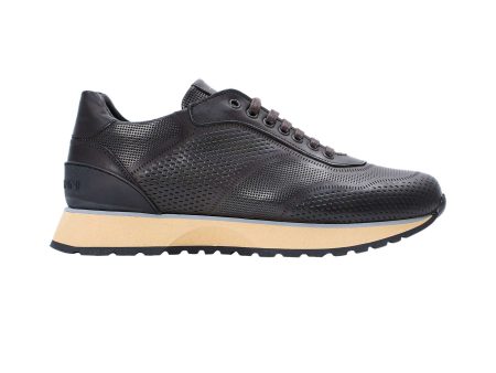 Baldinini Men s Dark Brown Sneaker Online