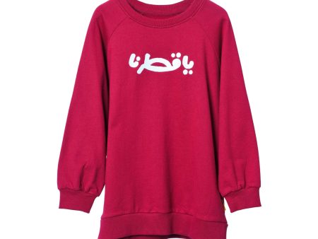 Baby Elephant Kids Girl s Burgundy Sweatshirt Sale