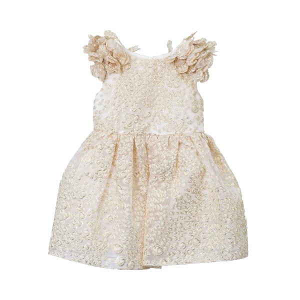 David Charles Kids Girl s Gold Dress Sale