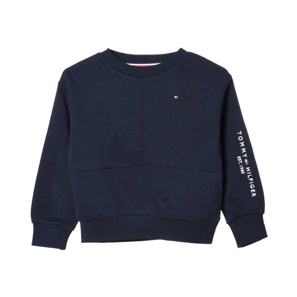 Tommy Hilfiger Kids Jogging Suit For Cheap