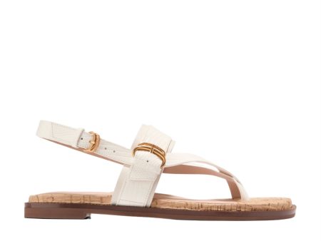 Cole Haan Women s Anica Lux Buckle Sandals Online now