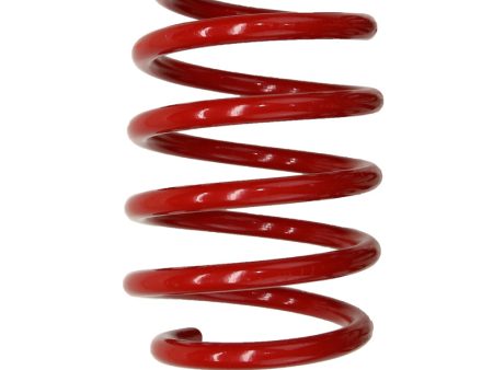 Pedders 2016+ Ford Focus RS Low Coil Spring - Front For Discount