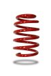 Pedders 2016+ Ford Focus RS Low Coil Spring - Front For Discount