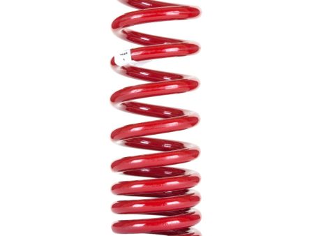 Pedders 05-2012 Chrysler LX Heavy Duty Rear Coil Spring Discount