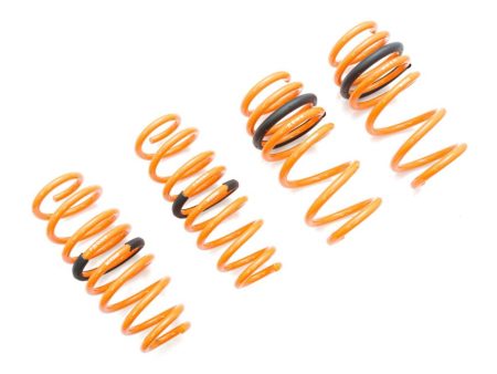 Tesla Model 3 AWD 17+ (EXC RWD) Lowering Springs - MR-LS-TSL317X Online