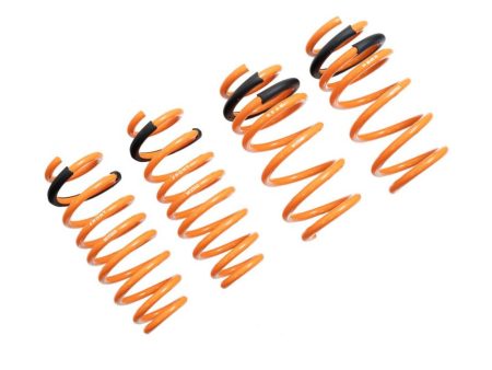 Tesla Model 3 17+ (RWD Only) Lowering Springs - MR-LS-TSL17 on Sale