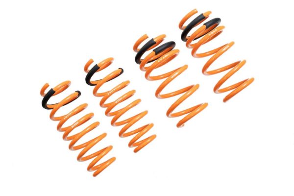 Tesla Model 3 17+ (RWD Only) Lowering Springs - MR-LS-TSL17 on Sale